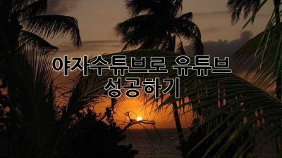 야자수튜브로 유튜브 성공하기🌴
