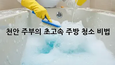 천안 주부의 초고속 주방 청소 비법 💎